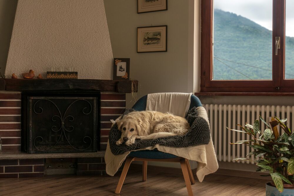 Chalet chaleureux au coin du feu, prêt à l'arrivée grâce au préchauffage à distance